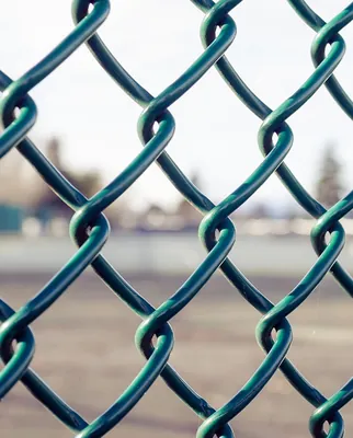 green and black coated chain link mesh