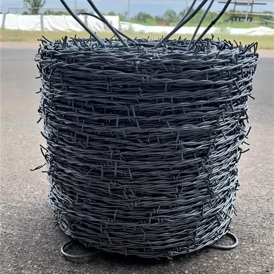 2 point Galvanized Barbed Wire