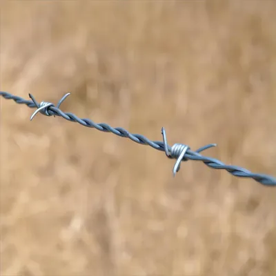 Anti-climbing and Anti-rust Galvanized Barbed Wire