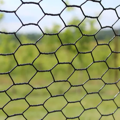 PVC Coated Chicken Wire Poultry Netting