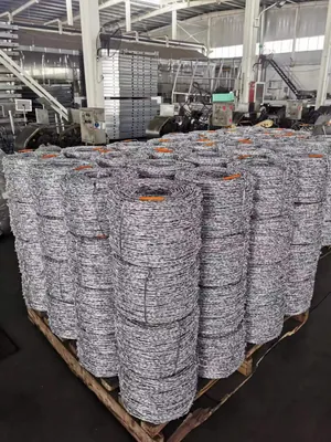 Hot-dipped Galvanized Barbed Wire