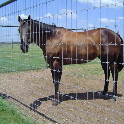 Fixed Knot Woven Wire Fence Fabric
