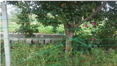 16 Gauge 500m barbed wire