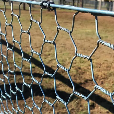 Stainless steel chicken wire