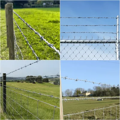galvanized and stainless steel barbed wire