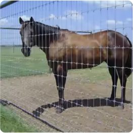 A horse standing behind a square-knot woven wire field fence